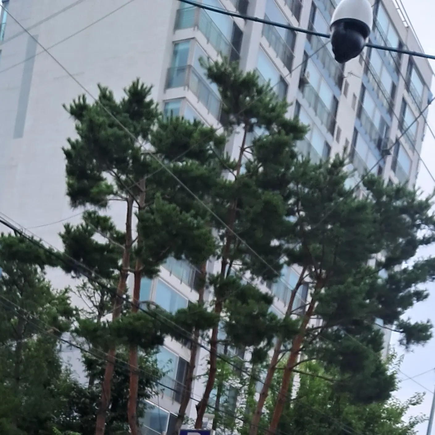 NativeHeat4858의 ㅂㄴㄷ 선도부