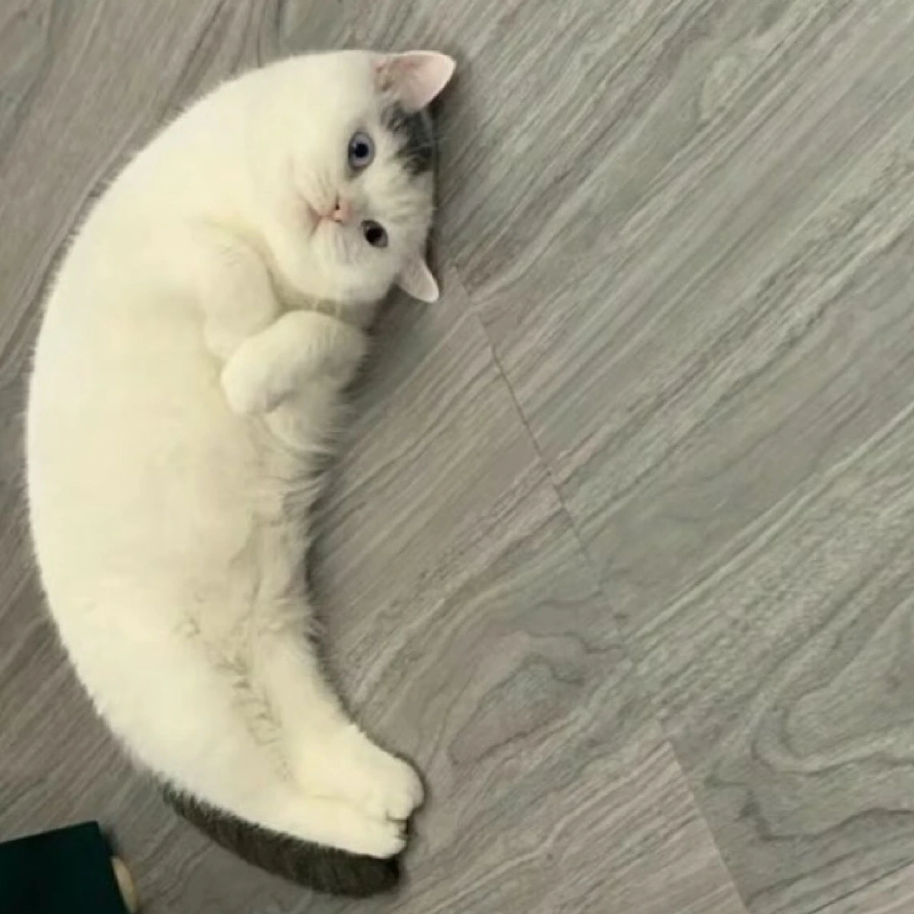 나재민