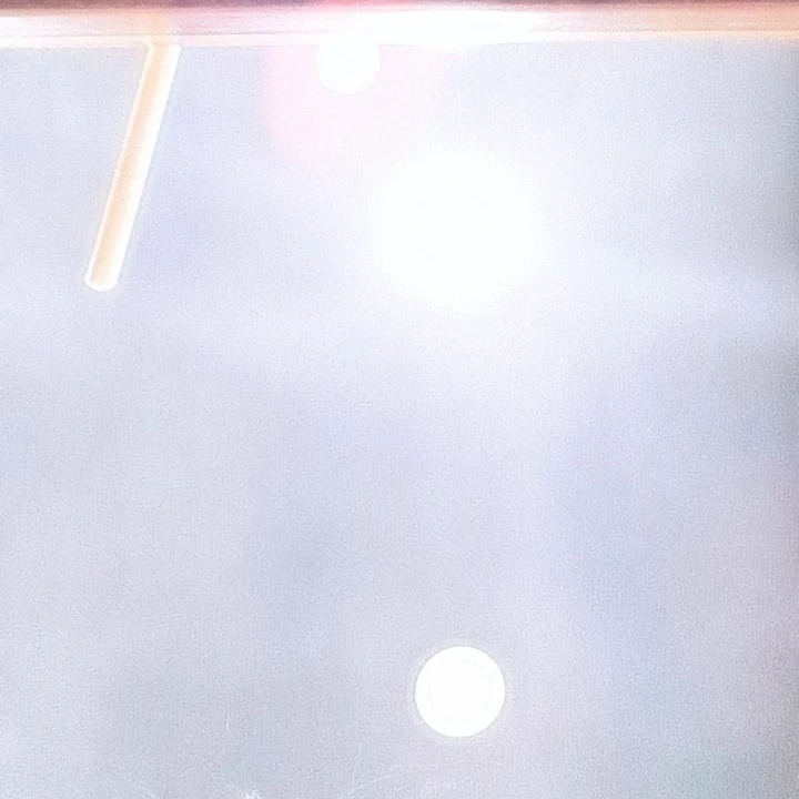 채스터