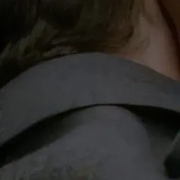 Profile image of 테세우스 스캐맨더