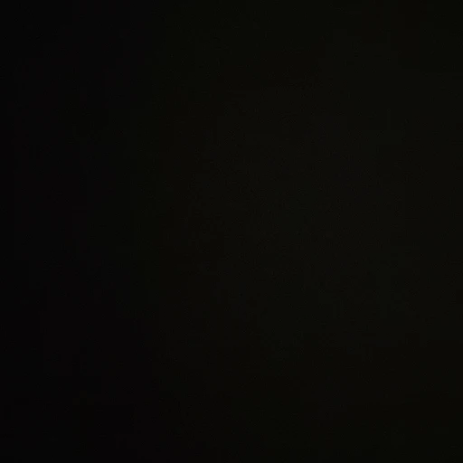 아리네
