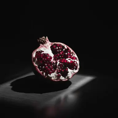 Profile image of 페르세포네