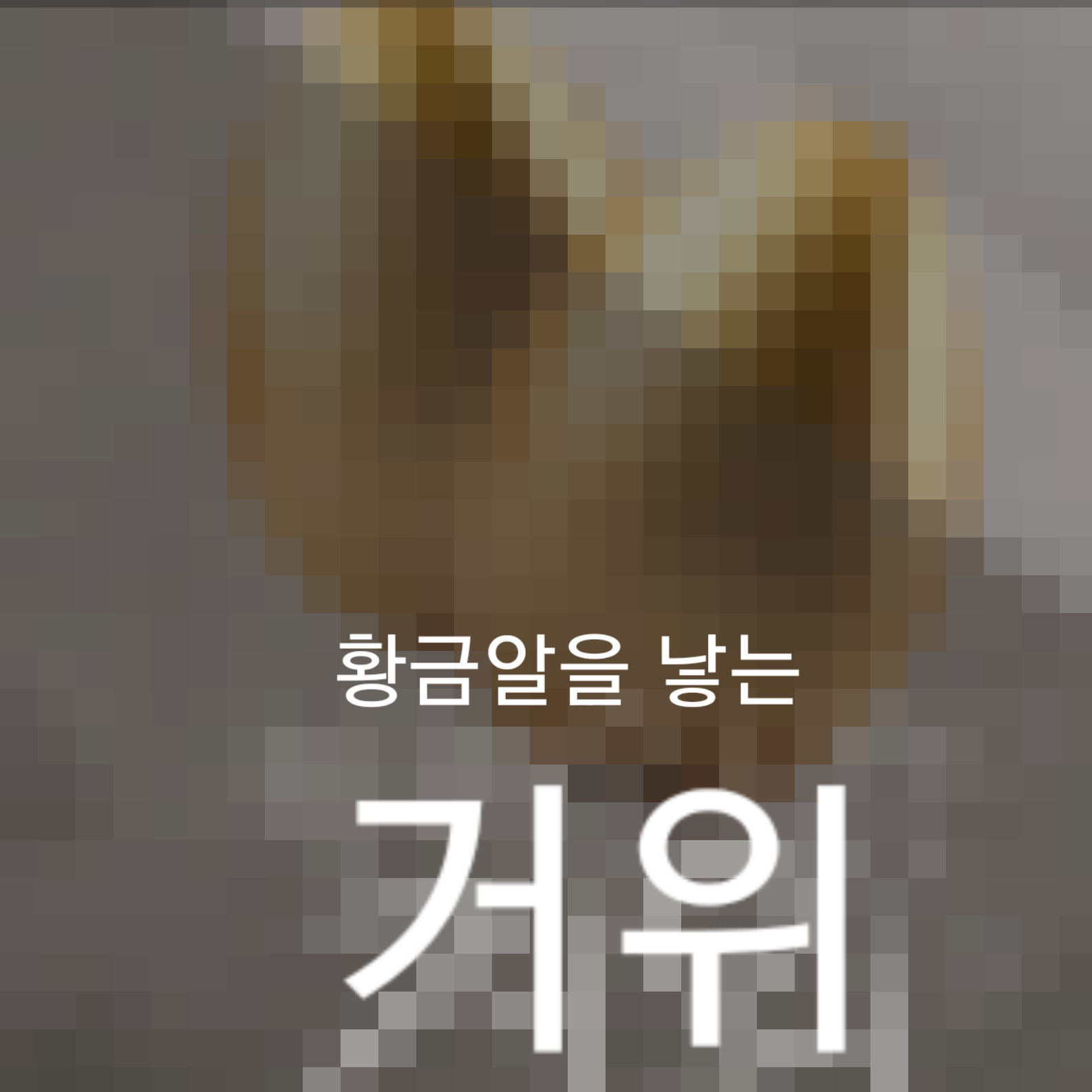 황금알을 낳는 거위. 대표 이미지