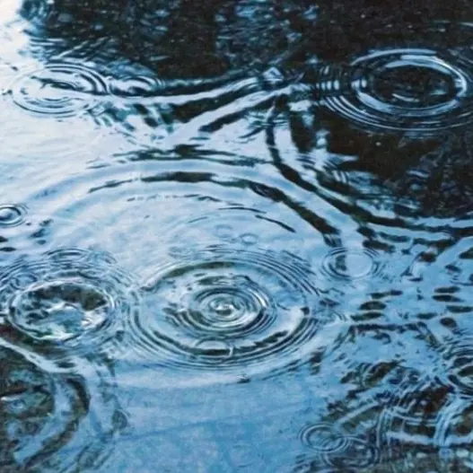 PrimFlood2281의 雨音に紛れて、君を想う
