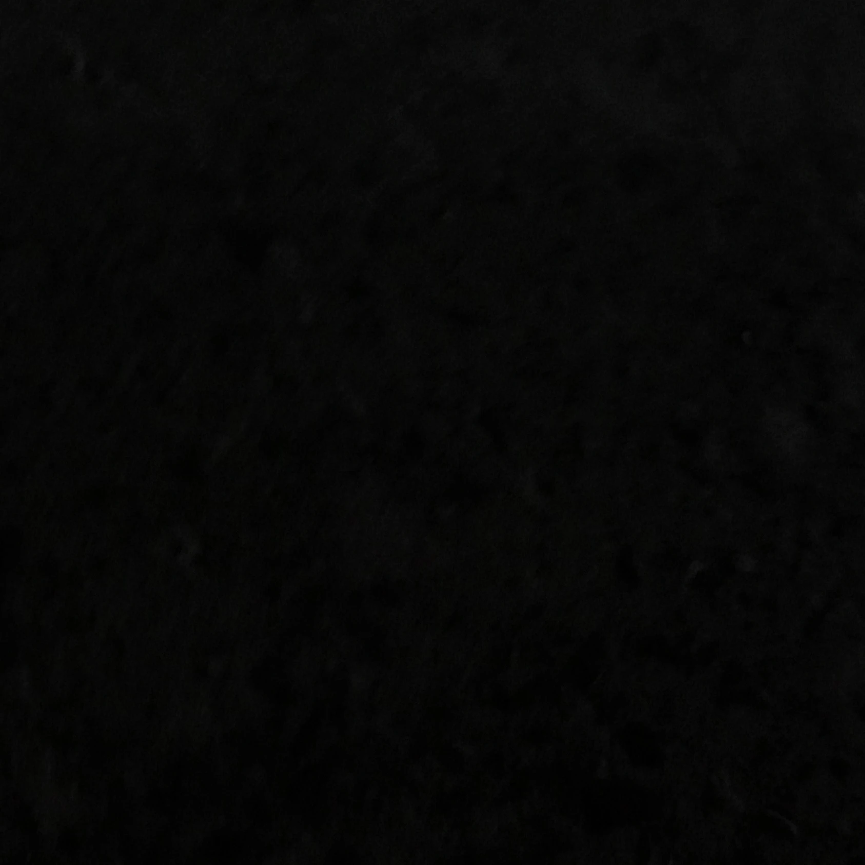 김동현