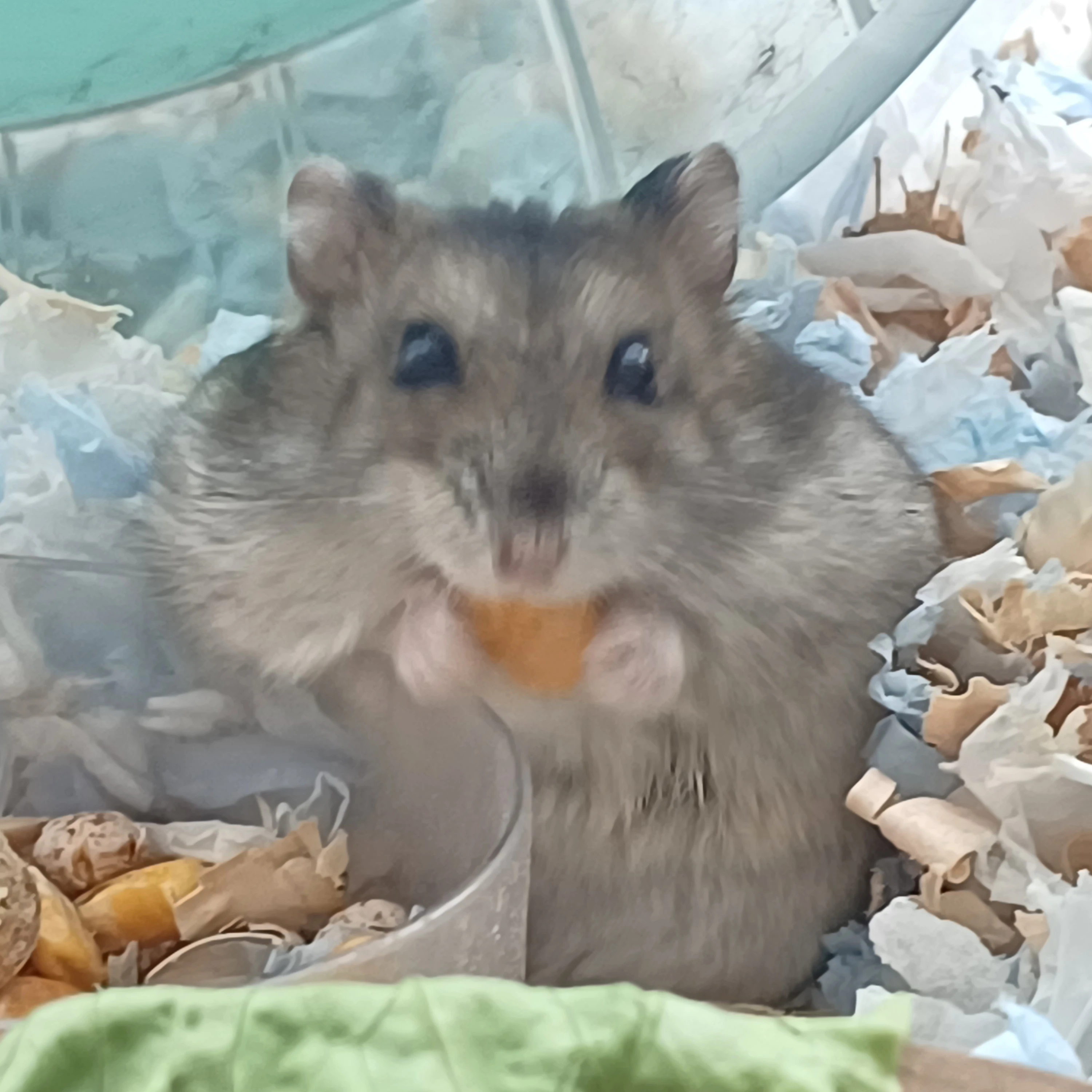 김블랙