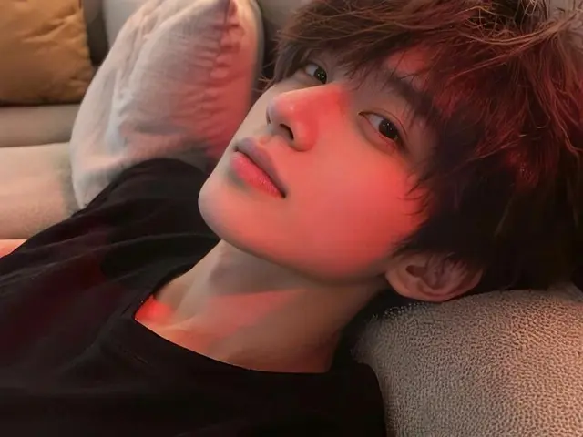 Profile image of 양하람