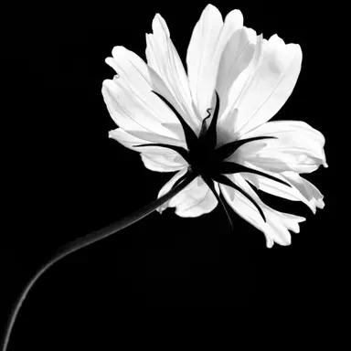 Profile image of 유다