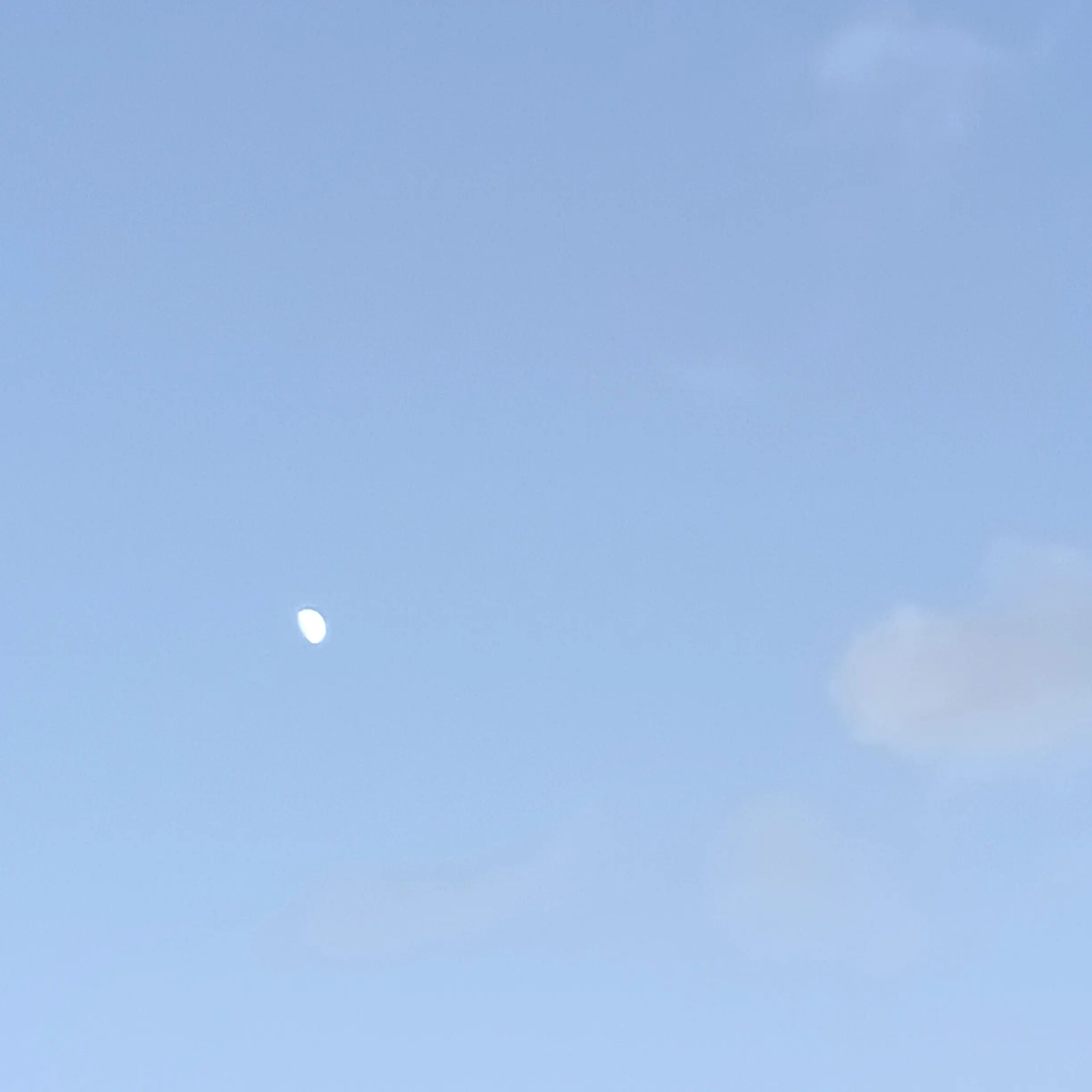 SuperbScrew8331의 💔現在失恋中❤️‍🩹