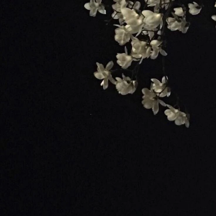 김이한