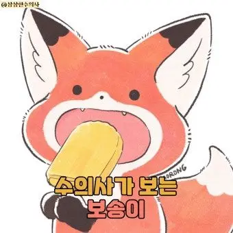 Profile image of 여우