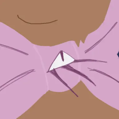 Profile image of The bow
