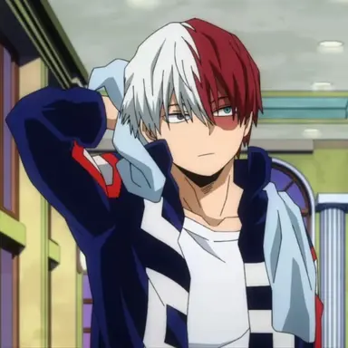 Profile image of Shoto Todoroki