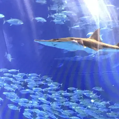 Profile image of 優