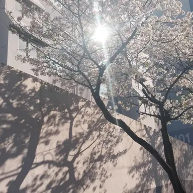 Profile image of 아일릿 ㅣ설명용