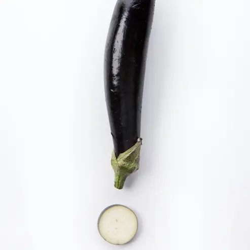 hamaoi의 가지