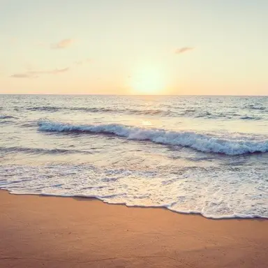 Profile image of Beach trip