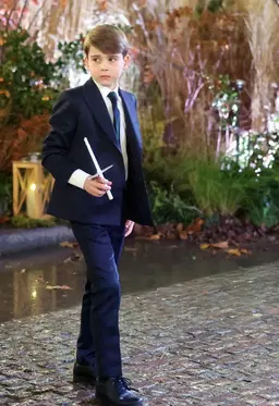 Profile image of Prince Louis