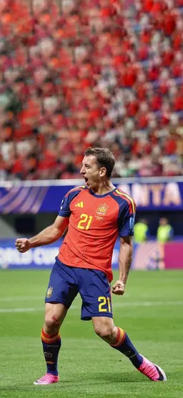 Profile image of Mikel Oyarzabal