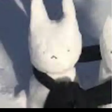 Profile image of 킹비