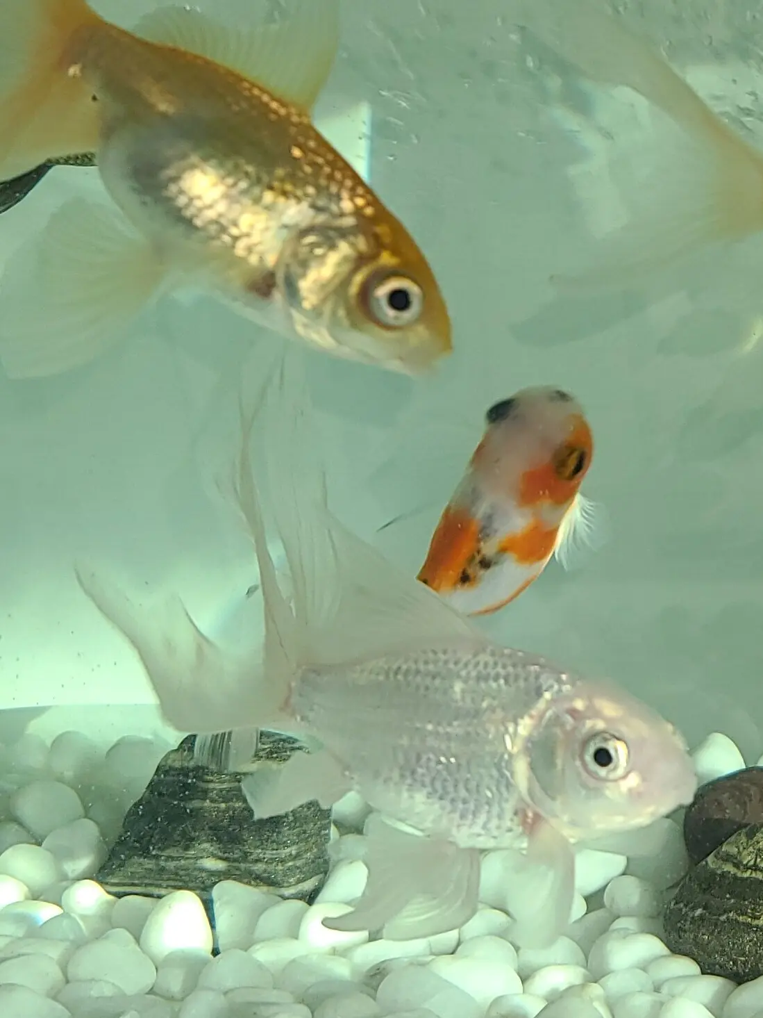 LeafyMap0583의 제목뭐라해야할지 모르겠다