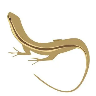 Profile image of エージェントカナヘビ