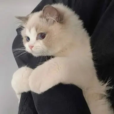 Profile image of 김규빈