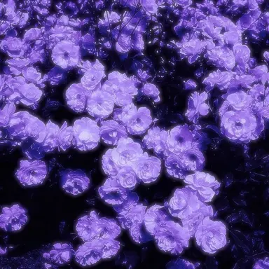 Profile image of 황수현