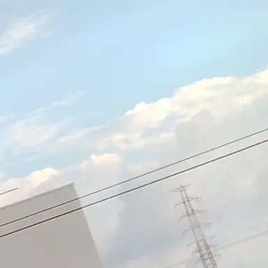 Profile image of 西浦 来輝