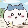 Profile image of 하치와레
