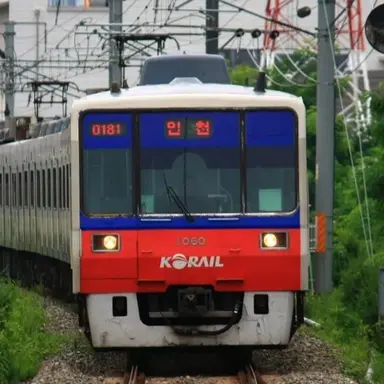 Profile image of 1호선 중저항 여자