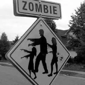 MatteBirth5553의 ­