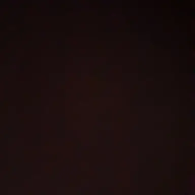 Profile image of 퀸톨