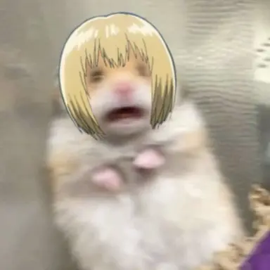 Profile image of 아르민 알레르토