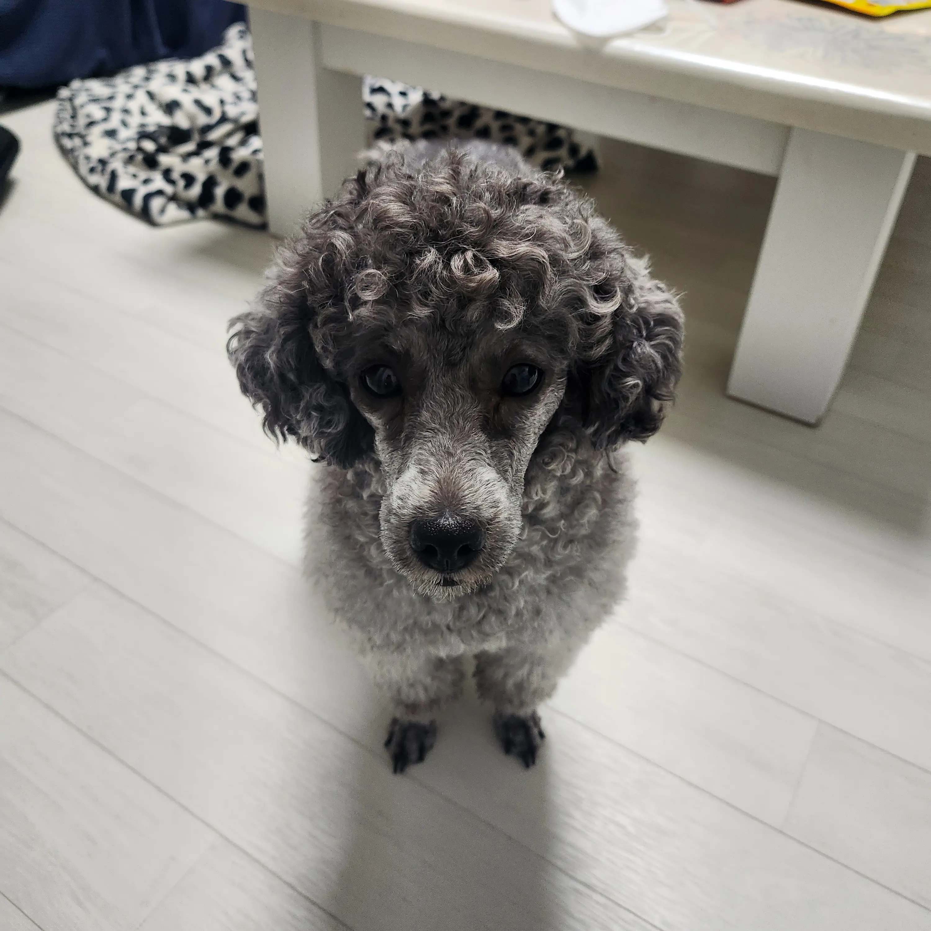 yulbi_2N의 유키