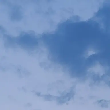 Profile image of ジャムトゥル