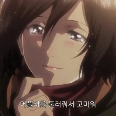 Profile image of 미카사