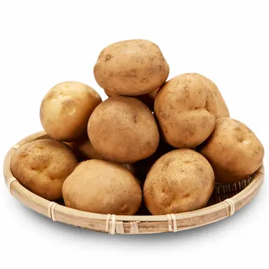 Profile image of 사샤