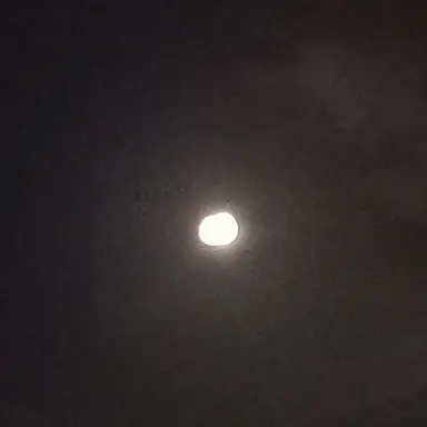 Profile image of 게스트666