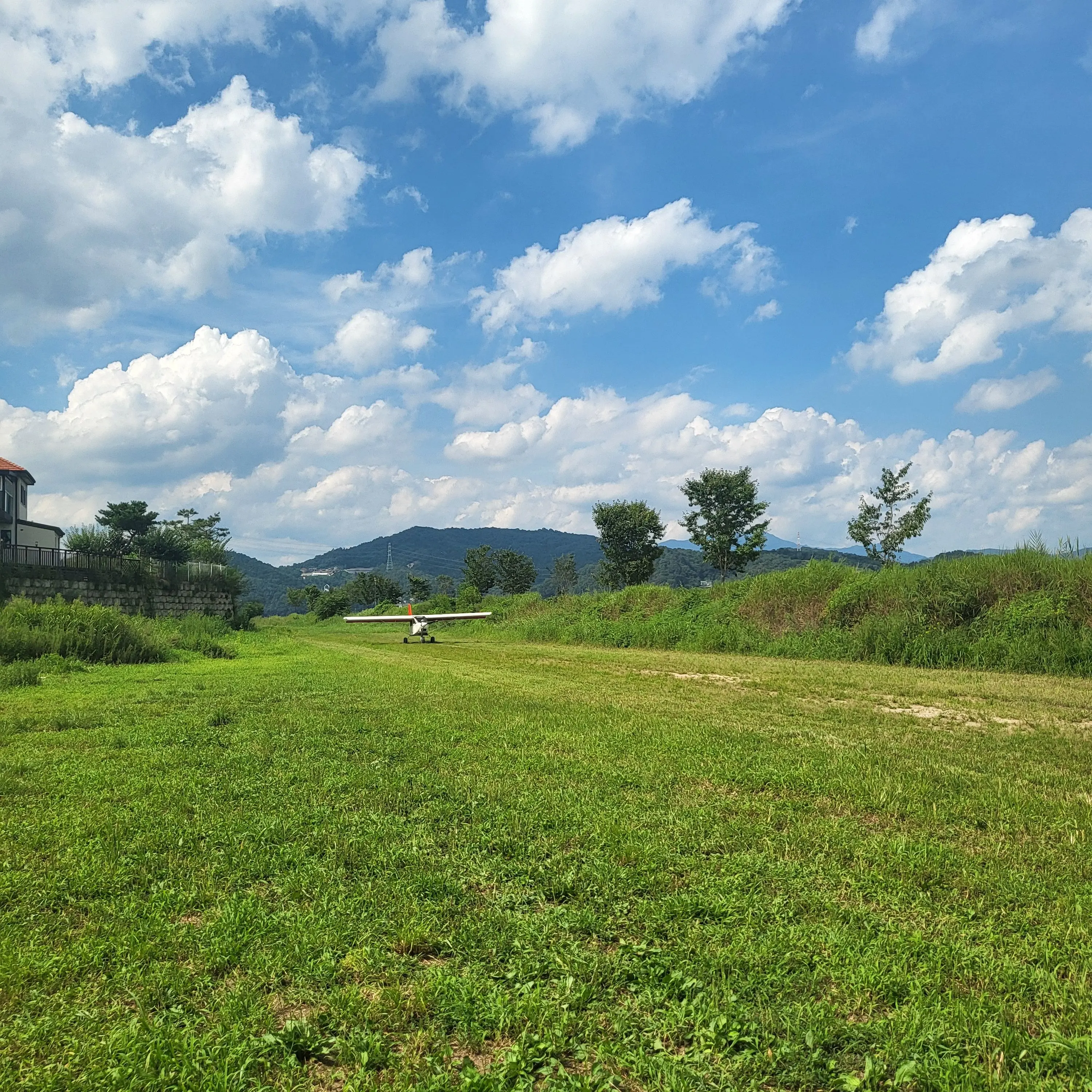 BitterOlive2317의 세봉고