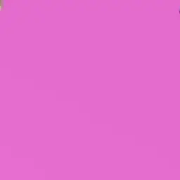 Profile image of くーちゃん