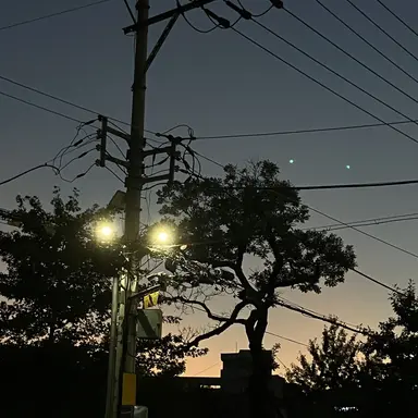 Profile image of 백참