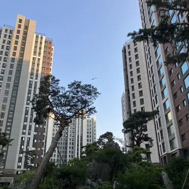 Profile image of 소방서 옆 경찰서