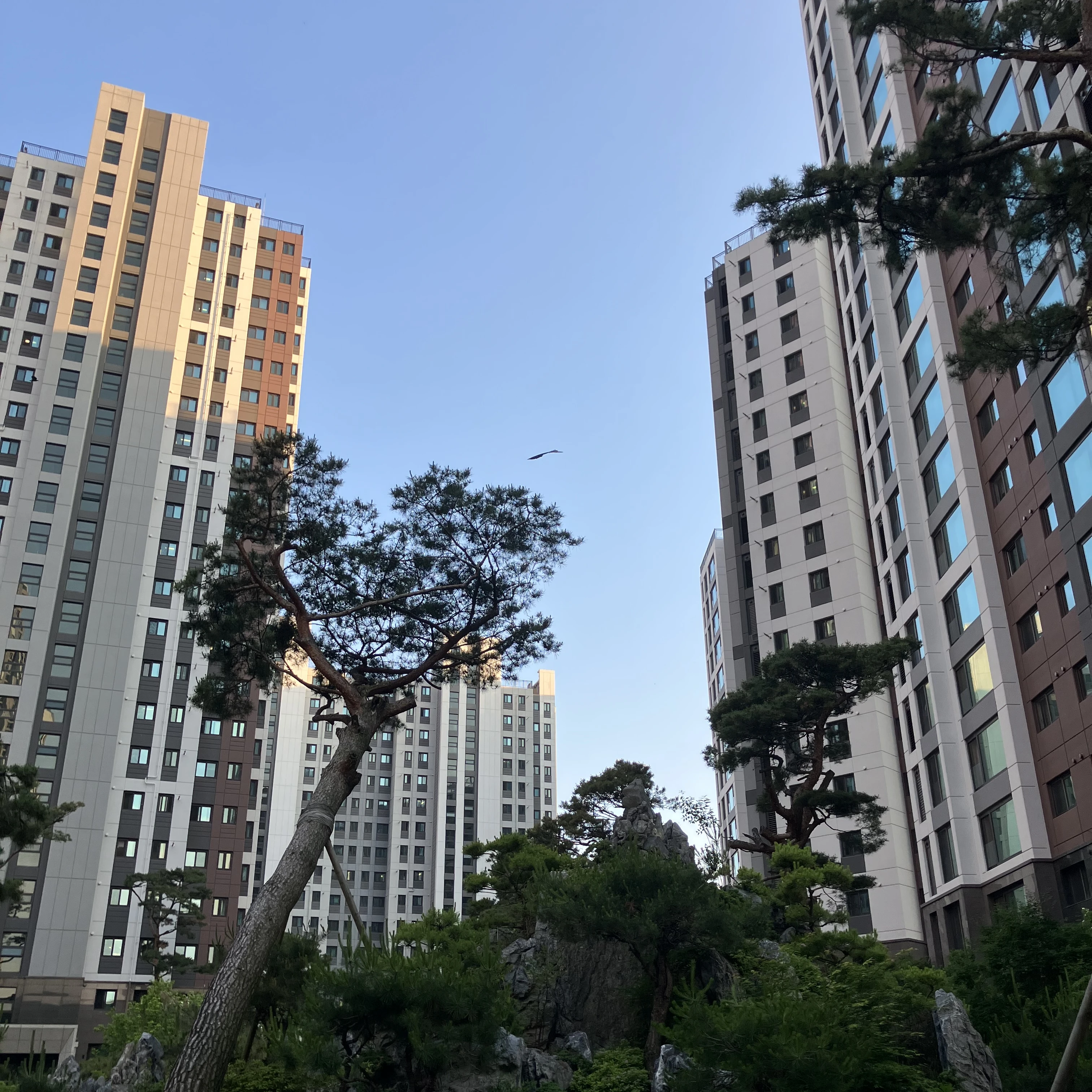 소방서 옆 경찰서