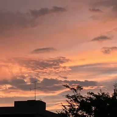 Profile image of 최기수