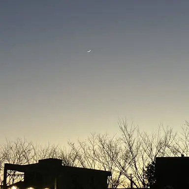 Profile image of 송설