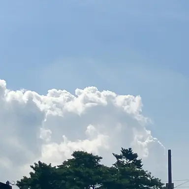 Profile image of 봉안나