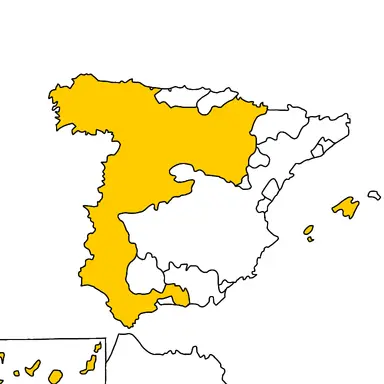 Profile image of 스페인국