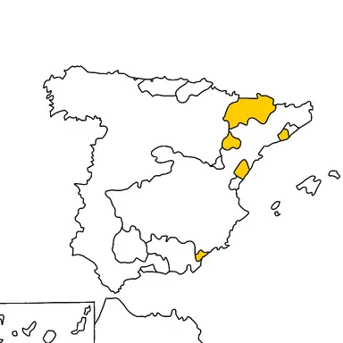 Profile image of 전국 노동 연맹