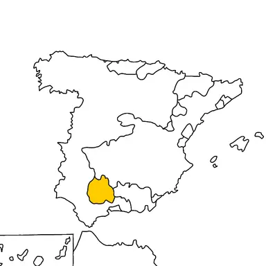 Profile image of 팔랑헤